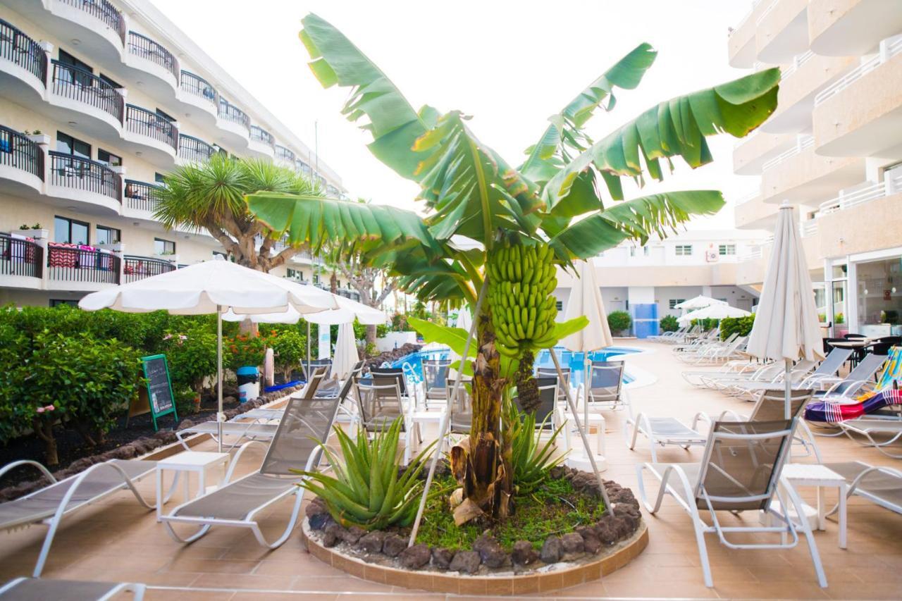 Adults Only Sunny Quiet Apartment In Center Of Las Americas Arona  Exterior photo